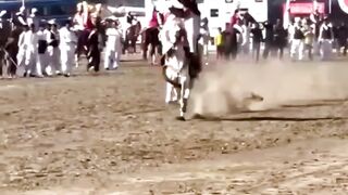 horse race