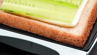 Yummy sandwich breakfast