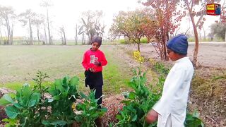 Beautiful Village comedy