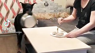 will you feed me?