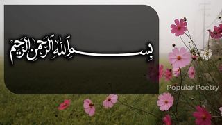 Quotes In Urdu | Most Famous and Life Changing Quotes | Popular Poetry