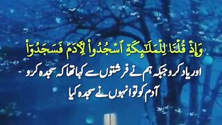 Tilawat-e-Quran