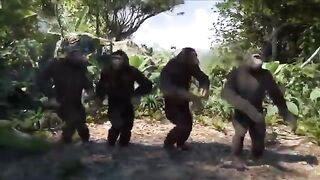 Funny monkey dance with Punjabi song.