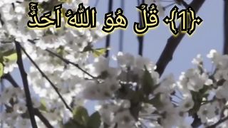 Tilawat-Qurane-Pak-Surah-Akhlas!!!