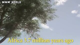 2. Banding Together to Survive - OUT OF THE CRADLE [人類誕生CG] - NHK Documentary_low.