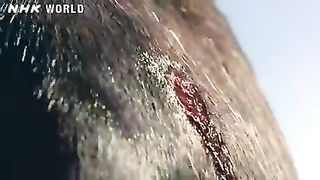 4. The Hunting Man - OUT OF THE CRADLE [人類誕生CG] - NHK Documentary_low.
