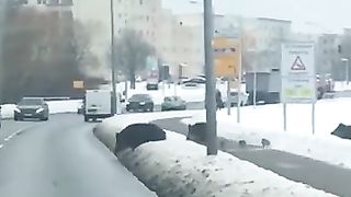 be careful, children are on the road.