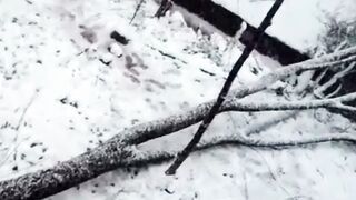 Snow fall