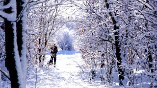 Winter Season is so Amazing...