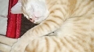 Sleep style ????????????