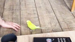 How are you, my bead