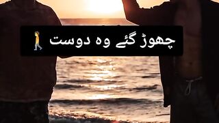 shero shayari
