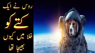 Why Russia send a dog into space