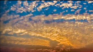 Beautiful Scene whatsapp status