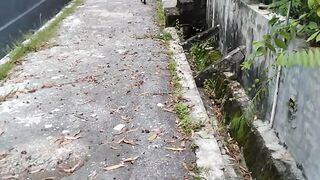 Shorts video black cute cat ????????