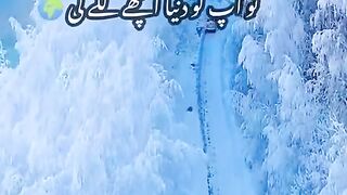 Urdu poetry