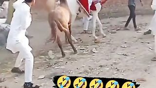 Funny video 2023