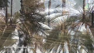 Beautiful Nasheed| Hamd | Allah Allah | Sab vird kro | Nouman Sanu