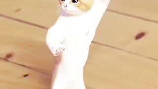 Cute cat