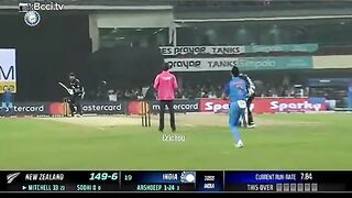 Cricket fans
