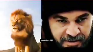 Ertugul Gazi power with lion ????