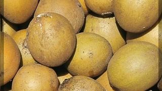 Amazing Fact About Food ???????? Amazing Facts | Mind Blowing Facts in Hindi Top 4 #HindiTVIndia #Shorts