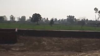 Village Look | sunny view |Nature| green fields