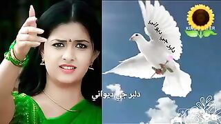 Sindhi song #sindhi #video