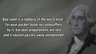 George washintgon Quotes