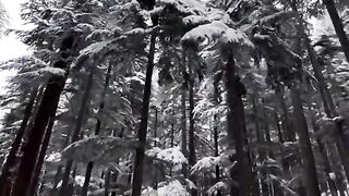 Beautiful view