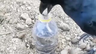 Amazing Effort