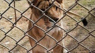 Ayub international park jungle world rawalpindi