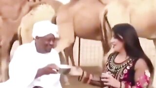 Camel Funny Video