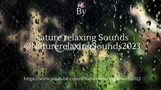 Rain sound relaxing Video for 5 min