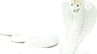 White snake and Slave Urdu Kahani Cartoon Mart