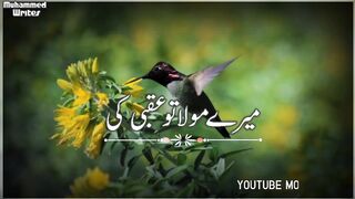 Heart Touching Hamd Status   Naat Sharif Status   Hamd Status   Naat Status   Muhammed writes