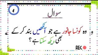 Educational knowledge