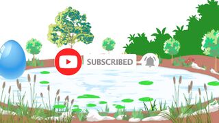 colorful fish for kids