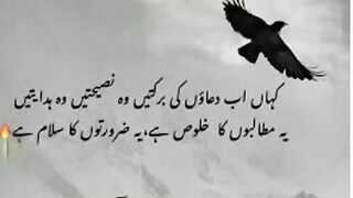 quotes||urdu quotes|| motivational quotes