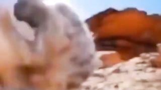 How to safe life