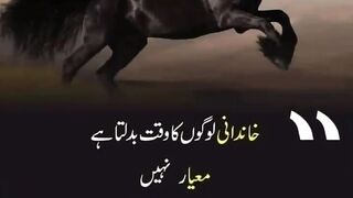 quotes||urdu quotes