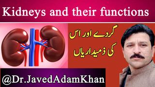 Kidneys and their functions (JAVEDKHAN12485)