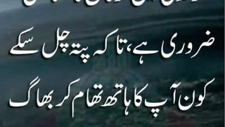 quotes||urdu quotes|