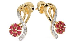 The Vicky Hoop Earrings