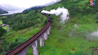 Very dagurus raillway track