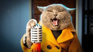 This Cat Will Never Give You Up.