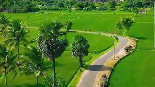 beauty of village| nature view | follow
