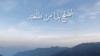 Voice of peace