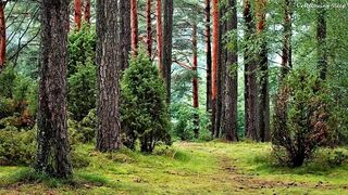 relaxing sleep video by kakhan74 ,Relaxing Piano Music , Sleep Music, Relaxing Music, Meditation Music, for Studying or Sleeping