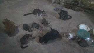 Feeding Time